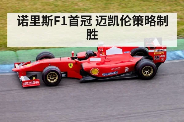 诺里斯F1首冠 迈凯伦策略制胜