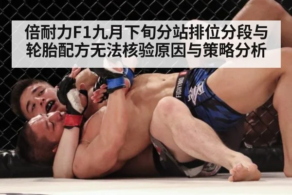 倍耐力F1九月下旬分站排位分段与轮胎配方无法核验原因与策略分析
